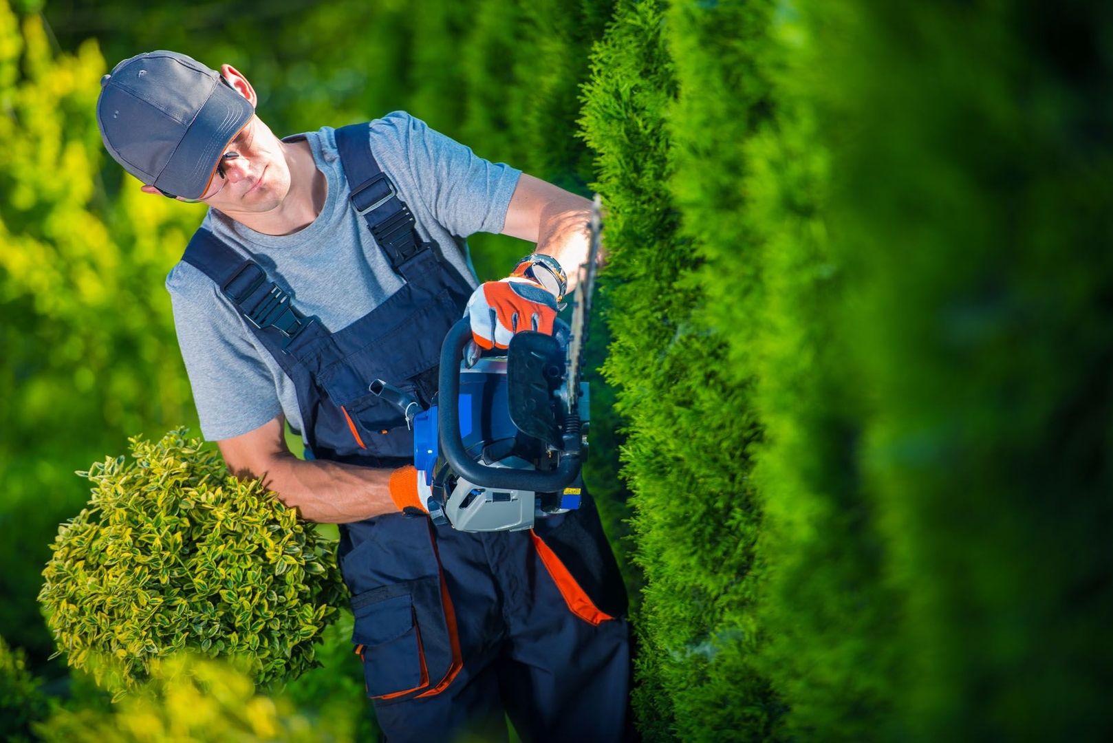 Ein Mann schneidet eine Hecke mit einer elektrischen Schere in einem sonnigen Garten.